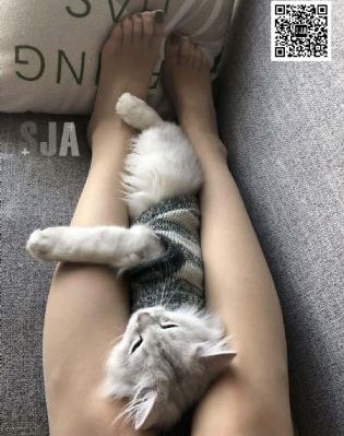 40熟女囗交_蓝光最新电影在线观看