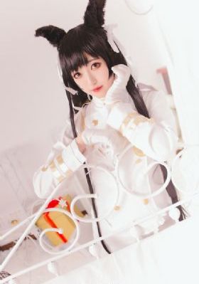 欧美肥windows_BD英语电影在线看